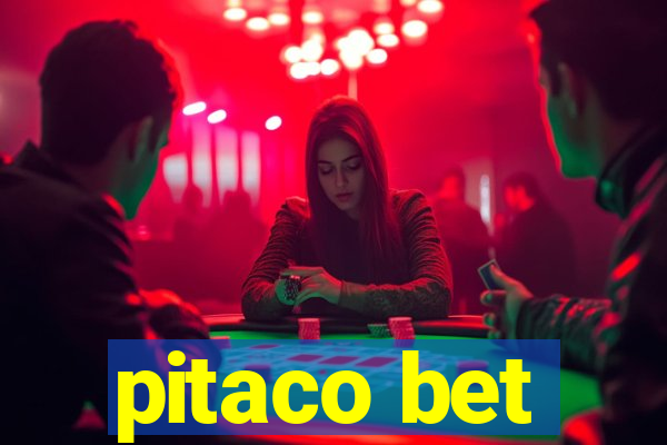 pitaco bet